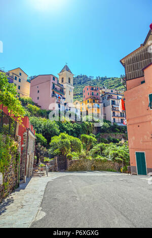 Malerische Straße in Manarola. Cinque Terre in Italien. Stockfoto