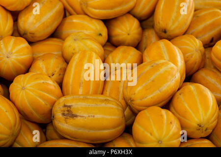 Auswahl an frischen Squash (DELICATA) im Gemüsemarkt Stockfoto