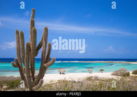 Karibik, Niederländische Antillen, Aruba, Baby Beach Stockfoto