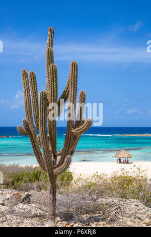 Karibik, Niederländische Antillen, Aruba, Baby Beach Stockfoto