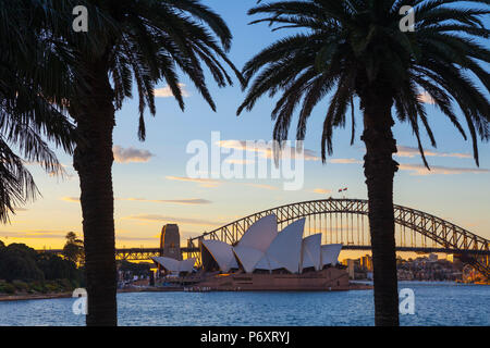 Sydney Opera House und die Harbour Bridge, Darling Harbour, Sydney, New South Wales, Australien Stockfoto