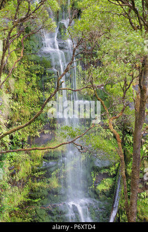 Erskine Falls, Great Otway National Park, Lorne, Great Ocean Road, Victoria, Australien Stockfoto