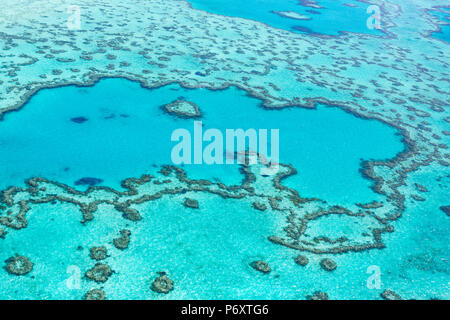 Herz Riff in der Great Barrier Reef von oben, Queensland, Australien. Stockfoto