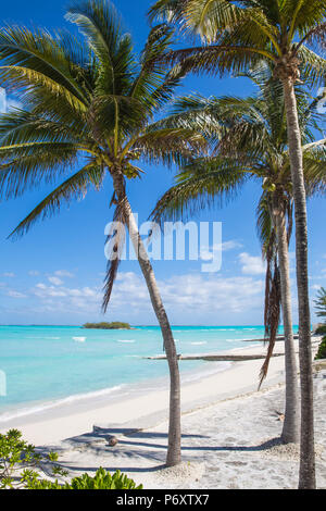 Bahamas, Abaco Islands, Great Abaco, Strand von Treasure Cay Stockfoto