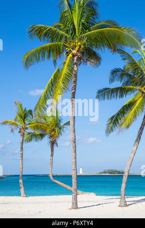 Karibik, Bahamas, Providence Island, Nassau, Palmen am weißen Sandstrand mit Leuchtturm in der Ferne Stockfoto