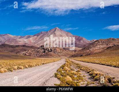 Bolivien, Potosi Abteilung, Sur Lipez Provinz, unbefestigte Straße und Cerro Lipez. Stockfoto