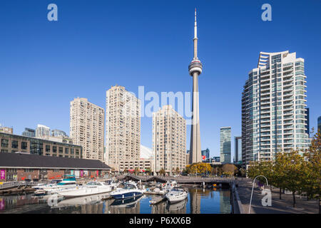 Kanada, Ontario, Toronto Harbourfront, CN Tower, morgen Stockfoto