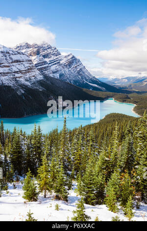 Im Herbst Peyto Lake, Banff National Park, Alberta, Kanada Stockfoto