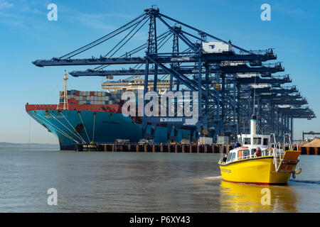 Hafen in Harwich Fähre aus dem Hafen von Felixstowe, Suffolk, England. Stockfoto