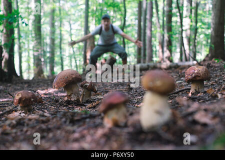 Mann sammeln Pilze Stockfoto