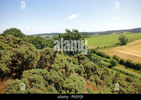 Eine Ansicht von Wiveton Downs in Richtung Glandford in North Norfolk an Wiveton, Norfolk, England, Vereinigtes Königreich, Europa. Stockfoto