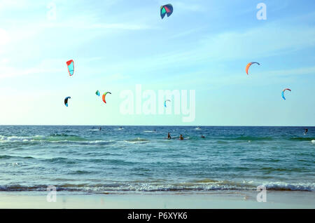 Viele Drachen im Meer. surfboard Boarding am Strand des Mittelmeers, Israel Gleichgewicht, extreme sports, Gruppe rest, gemeinsame Interessen. Stockfoto