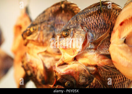 Golden getrockneten Fischen bei Sonnenuntergang Stockfoto
