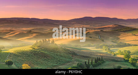 Italien, Toskana, San Quirico d'Orcia, Podere Belvedere (Typisch toskanisches Bauernhof) Stockfoto