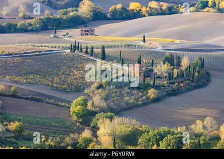 Ein Bauernhaus, das von Reben umgeben und gepflügten Feldern im Herbst, Montepulciano, Val d'Orcia, Toskana, Italien Stockfoto