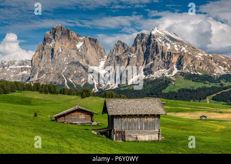 Seiser Alm - Seiser Alm mit Langkofel - Langkofel Berg im Hintergrund, Trentino Alto Adige - Südtirol, Italien Stockfoto