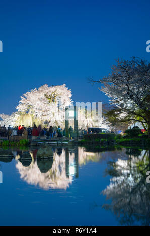 Gion Shidare Kirschbaum in der Dämmerung, Maruyama Park, Kansai, Kyoto, Japan Stockfoto