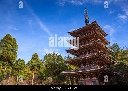 Japan, Kyoto, Daigoji Tempel, Goju-keine-Pagode Stockfoto