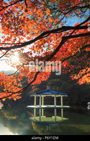 Südkorea, Jeolla Tun, naejangsan Nationalpark, naejangsan Teich und Wuhwajeong Pavillion Stockfoto