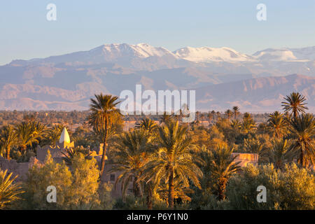 Blick vom Palmenhaus in Richtung Atlasgebirge bei Sonnenaufgang, Skoura, Marokko, RF Stockfoto