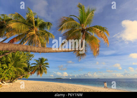 Malediven, Süd Ari Atoll, Thudufushi Island, Diamanten Thudufushi Resort, Paar am Strand (MR) Stockfoto