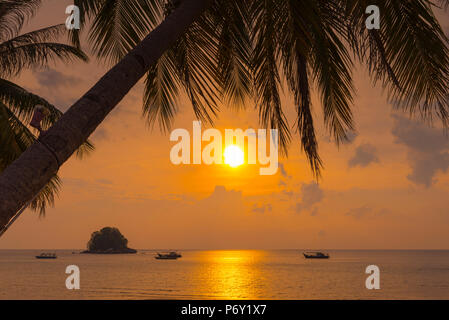 Malaysia, Pahang, Pulau Tioman (Tioman Island), Berjaya Beach, Pulau Rengis Rengis (Insel) Stockfoto