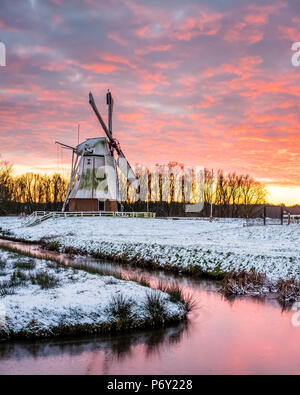 Witte Molen (weiße Mühle) holländische Windmühle im Winter bei Sonnenuntergang, Harn, Groningen, Nord Holland, Niederlande Stockfoto