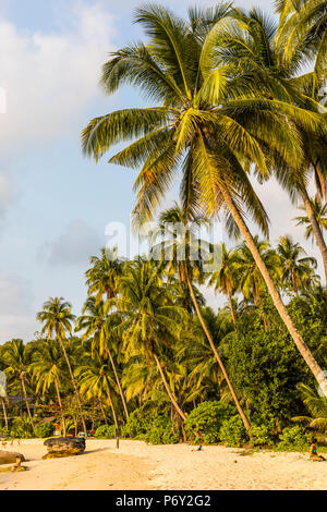 Tropischen Strand auf einer Insel nr Ko Chang, Thailand Stockfoto
