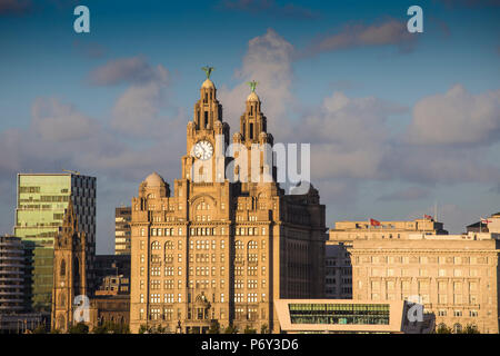 England, Merseyside, Liverpool, Blick auf das Royal Liver Building - mit zwei Clock towers durch zwei Leber Vögel gekrönt Stockfoto