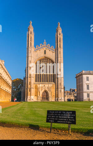 Großbritannien, England, Cambridgeshire, Cambridge, dem Rücken, King's College, King's College Chapel, bitte halten Sie das Gras Stockfoto