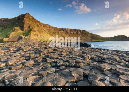 Großbritannien, Nordirland, County Antrim, Bushmills, Giants Causeway, UNESCO-Weltkulturerbe, Küsten Felsformation aus Basalt, Dämmerung Stockfoto