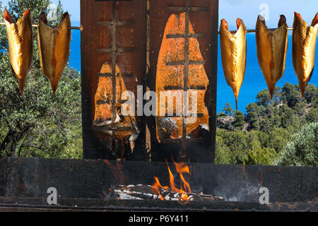 Vorbereitung für rauchende Lachse über einem offenen Feuer Stockfoto