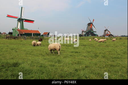 Alltag für mich auf einem perfekten sonnigen Tag Stockfoto