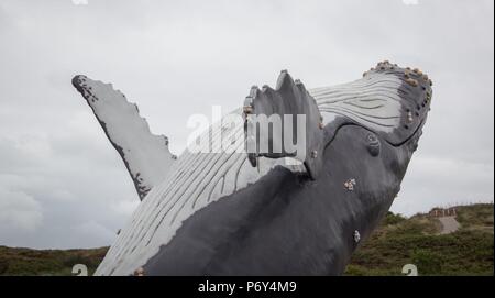 Wal springt aus dem Wasser in der Nähe der niederländischen Insel in den Niederlanden Stockfoto