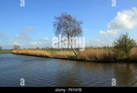 Alltag für mich auf einem perfekten sonnigen Tag Stockfoto