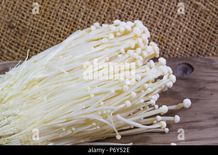 Enoki Pilz, frischen Goldenen Nadel Pilz in Gärtnerei Hintergrund. Stockfoto