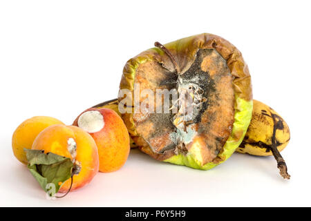 Faule Früchte auf weißem Hintergrund/Obst rot Pilze/Kompostierung Obst/rot Stockfoto