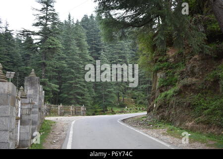 Jageswar Tempel uttarakhand Stockfoto