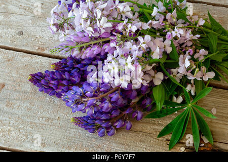 Lupine Blumen auf einem rustikalen Holzmöbeln Kulisse. Stockfoto