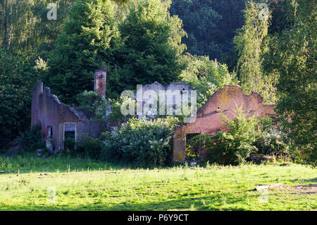 Alte verfallene Ruine im Wald, in der Nähe von rheden, Niederlande Stockfoto