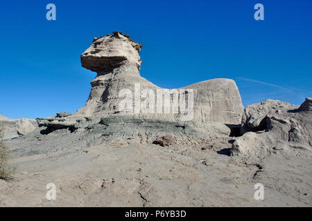 Ischigualasto Provincial Park, San Juan, Argentinien Stockfoto