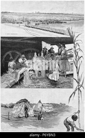 Engravied Montage der Zuckerindustrie in der Nähe von Mackay, Queensland, Australien. Von oben, die Ernte und den Transport von Zuckerrohr, Zuckerrohr, Hütten für kanaka Slaves. Von der malerischen Atlas von Australasien Vol. 2, 1886 Stockfoto