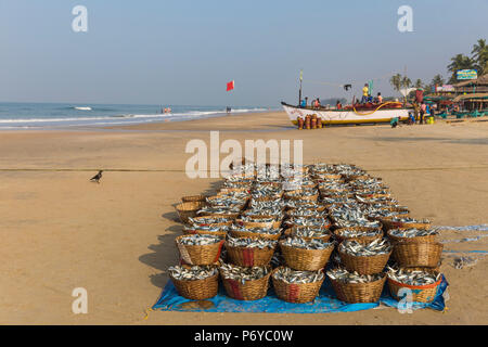 Indien, Goa, Colva Beach Stockfoto