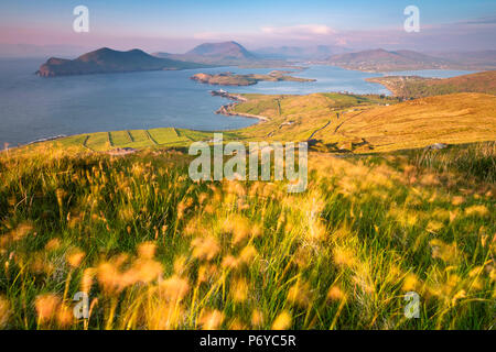 Valentia Island (Oilean Dairbhre), County Kerry, Provinz Munster, Irland, Europa. Blick vom Berg und Geokaun Fogher Klippen bei Sonnenuntergang. Stockfoto