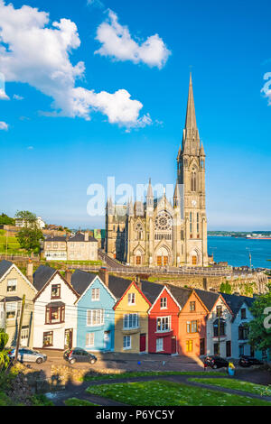 Cobh, County Cork in der Provinz Munster, Irland, Europa. Farbige Häuser vor der Kathedrale St. Colman's. Stockfoto