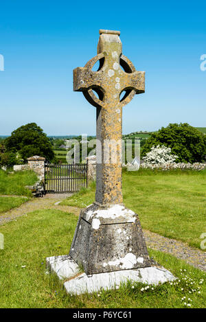 Old Kilcullen (Cill Chuilinn), County Kildare, Provinz Leinster, Irland, Europa. Hohes Kreuz in der alten historischen Friedhof. Stockfoto