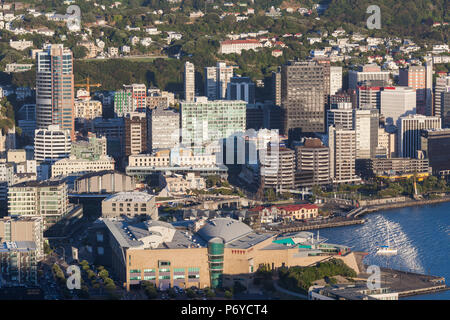Neuseeland, Nordinsel, Wellington, erhöhten Stadt Skyline vom Mt. Victoria, Morgendämmerung Stockfoto