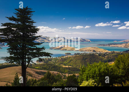 Neuseeland, Südinsel, Otago, Otago Halbinsel, Halbinsel Landschaft Stockfoto