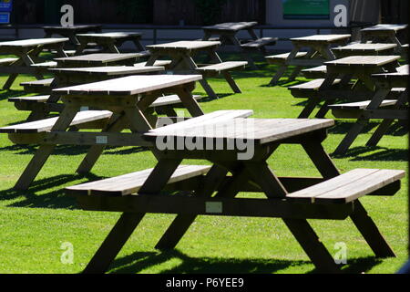 Ein Picknickplatz im Paradise Park, wo Vögel unter den Besuchern während einer frei fliegenden Vogel Anzeige fliegen Stockfoto