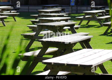 Ein Picknickplatz im Paradise Park, wo Vögel unter den Besuchern während einer frei fliegenden Vogel Anzeige fliegen Stockfoto